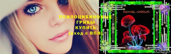 молекула духа Лихославль