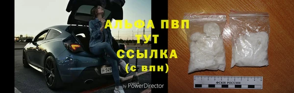 ECSTASY Лиски