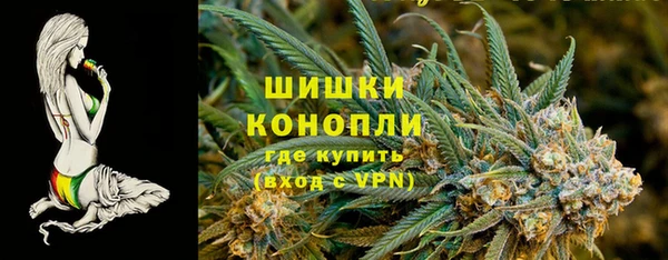 ECSTASY Лиски
